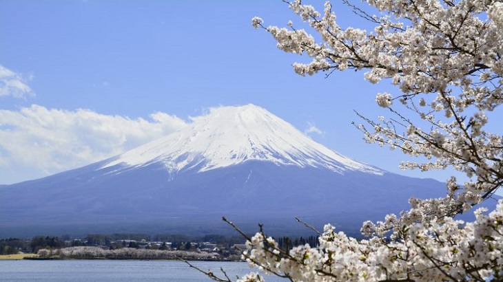 日本一の山、富士山に行こう！