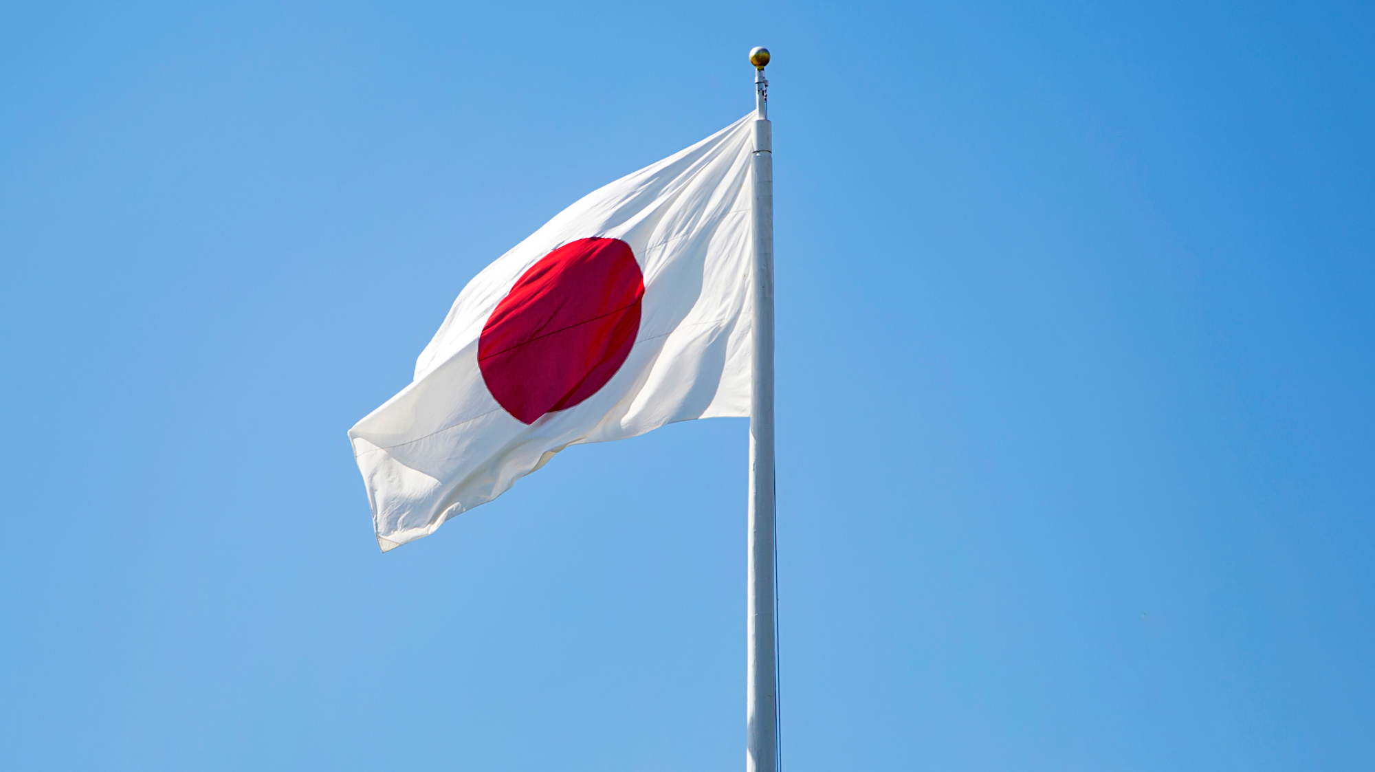 japanese naturalization essay