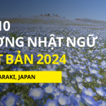 Top 10 Trường Nhật ngữ nổi tiếng Nhất Ibaraki cho du học sinh Việt Nam 2024