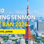 Gợi ý 10 trường Senmon tại Tokyo cho du học sinh Việt Nam [Trường chuyên môn Nhật Bản]