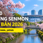 Gợi ý 10 trường Senmon tại Saitama cho du học sinh Việt Nam [Trường chuyên môn Nhật Bản]